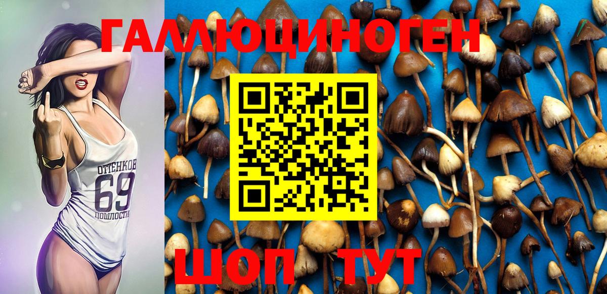 Псилоцибиновые грибы Psilocybine cubensis Симферополь