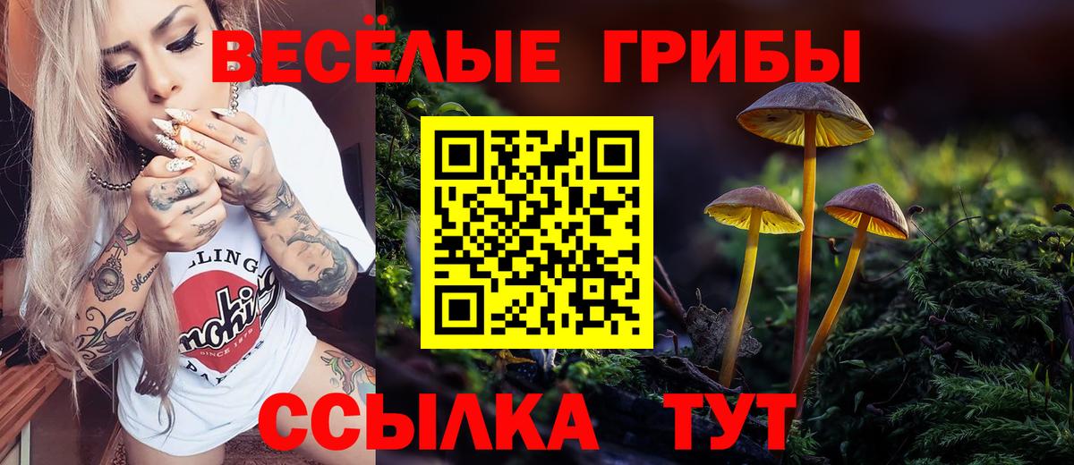Псилоцибиновые грибы Magic Shrooms  Галлюциногенные грибы мицелий  Вход с VPN  Симферополь 